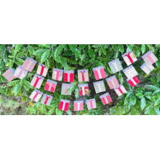 C'est Noel - Christmas Banner